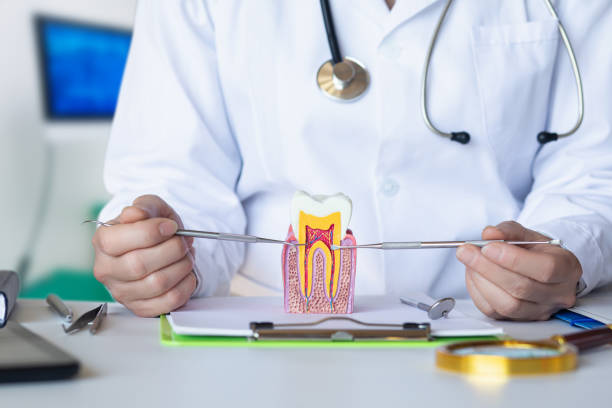 Best Emergency Treatment for Dental Infections or Abscesses in New Baltimore, VA
